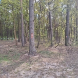 asz_05