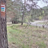 asz_06