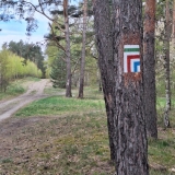 asz_07