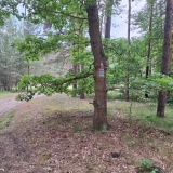 asz_08